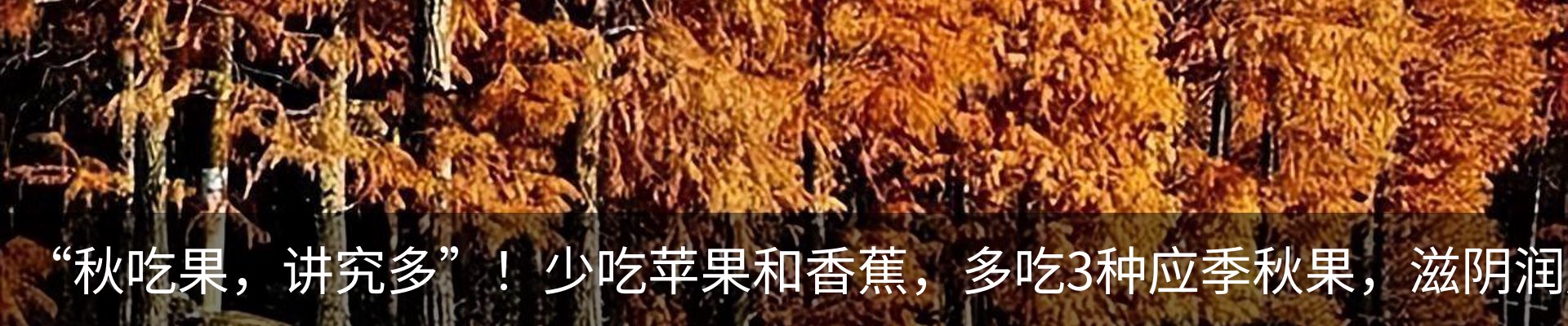 行业资讯