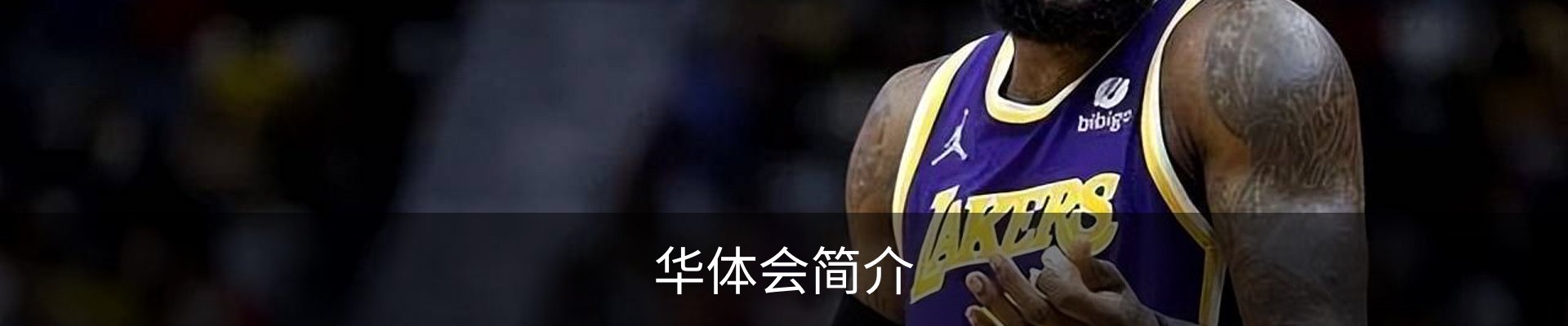 华体会简介