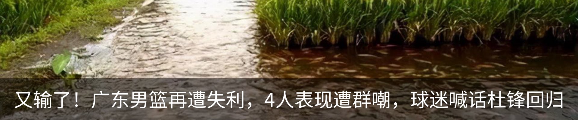 行业资讯