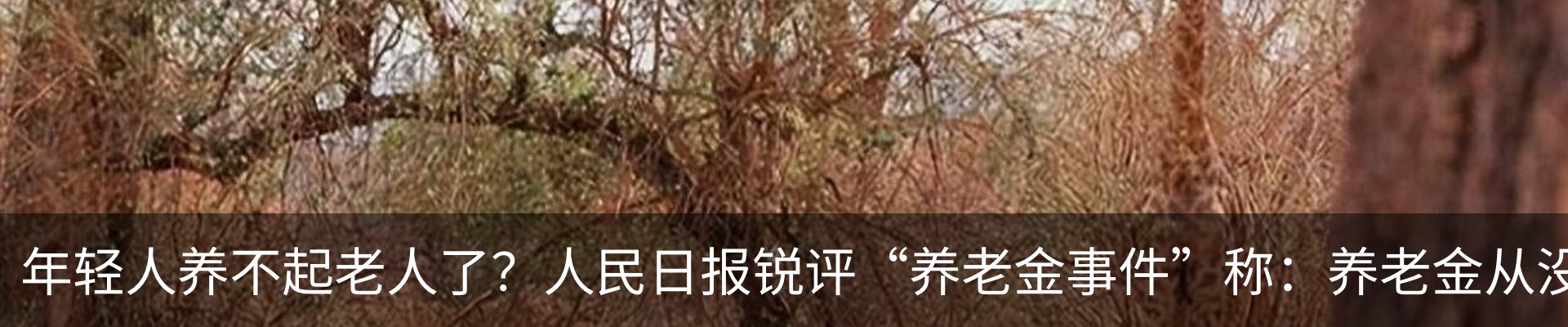 行业资讯
