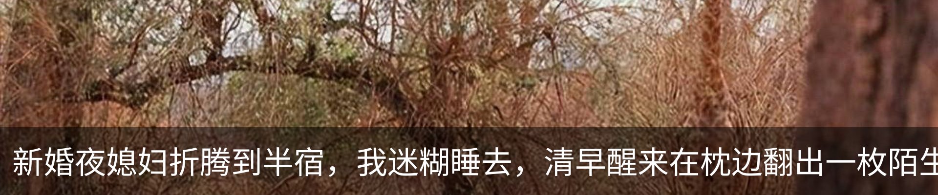 行业资讯