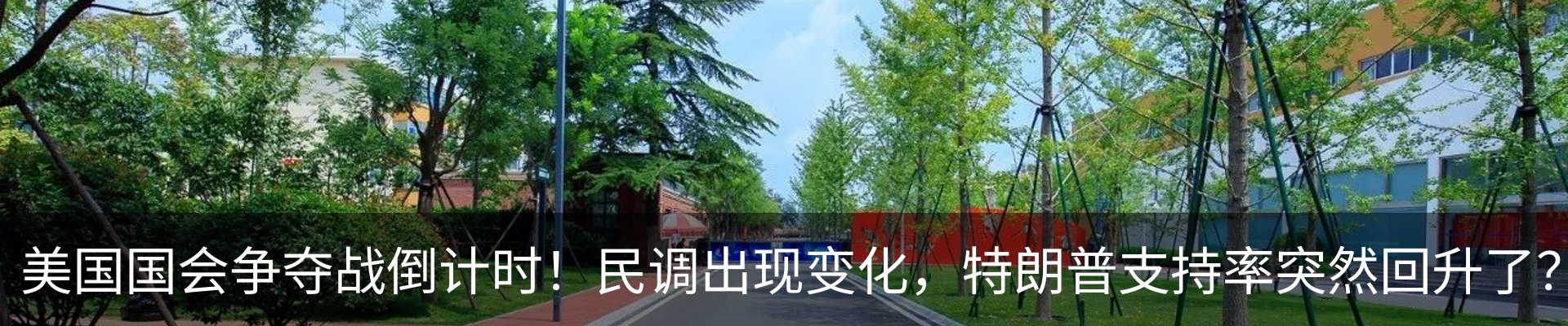 行业资讯