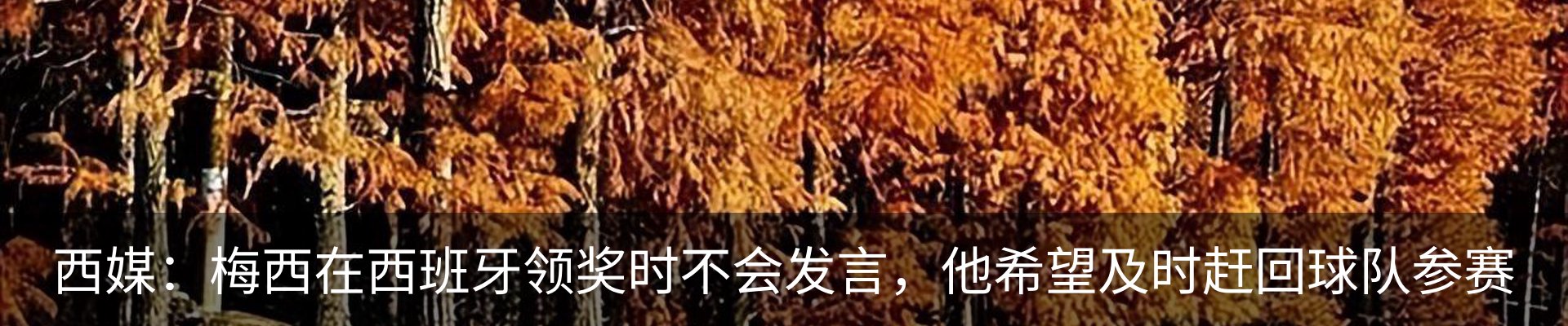 行业资讯