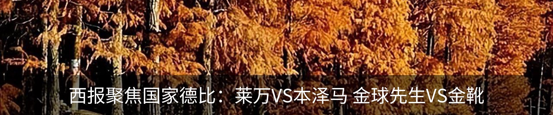 行业资讯