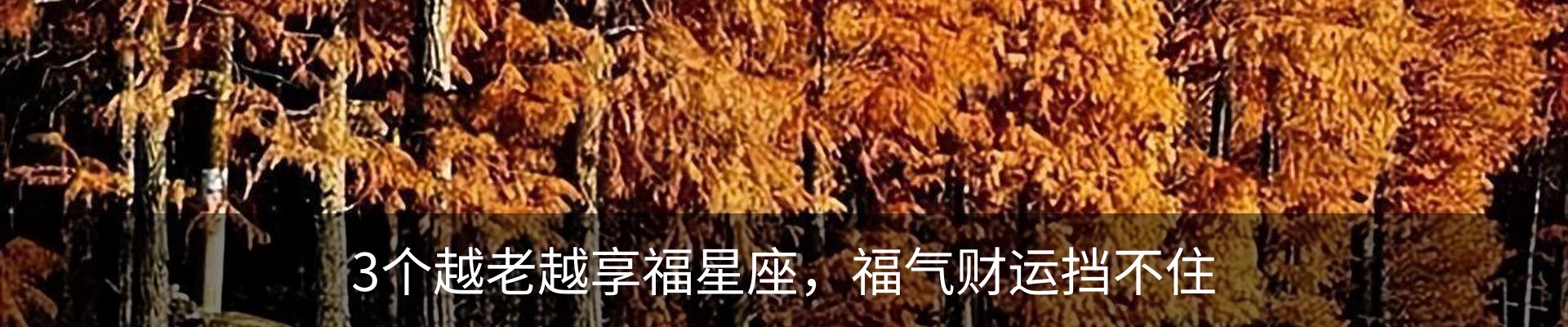行业资讯