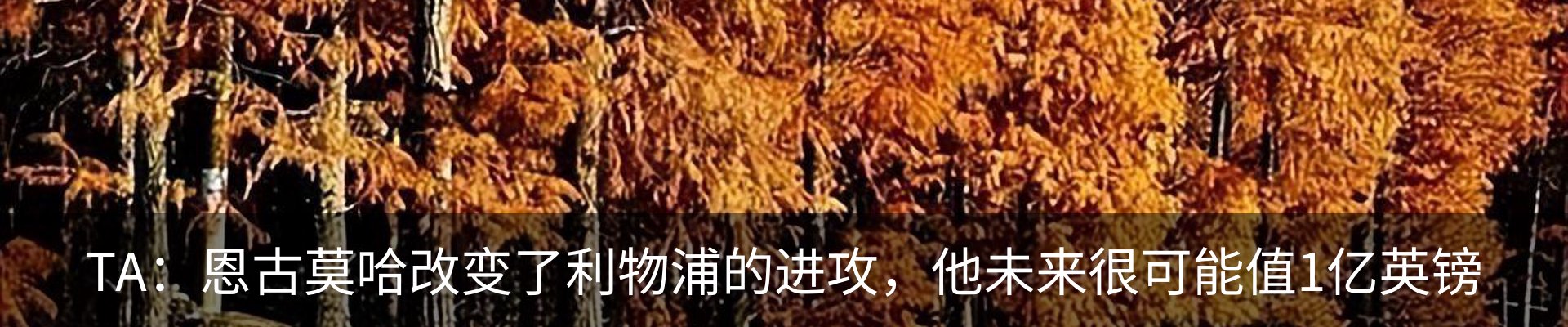 行业资讯